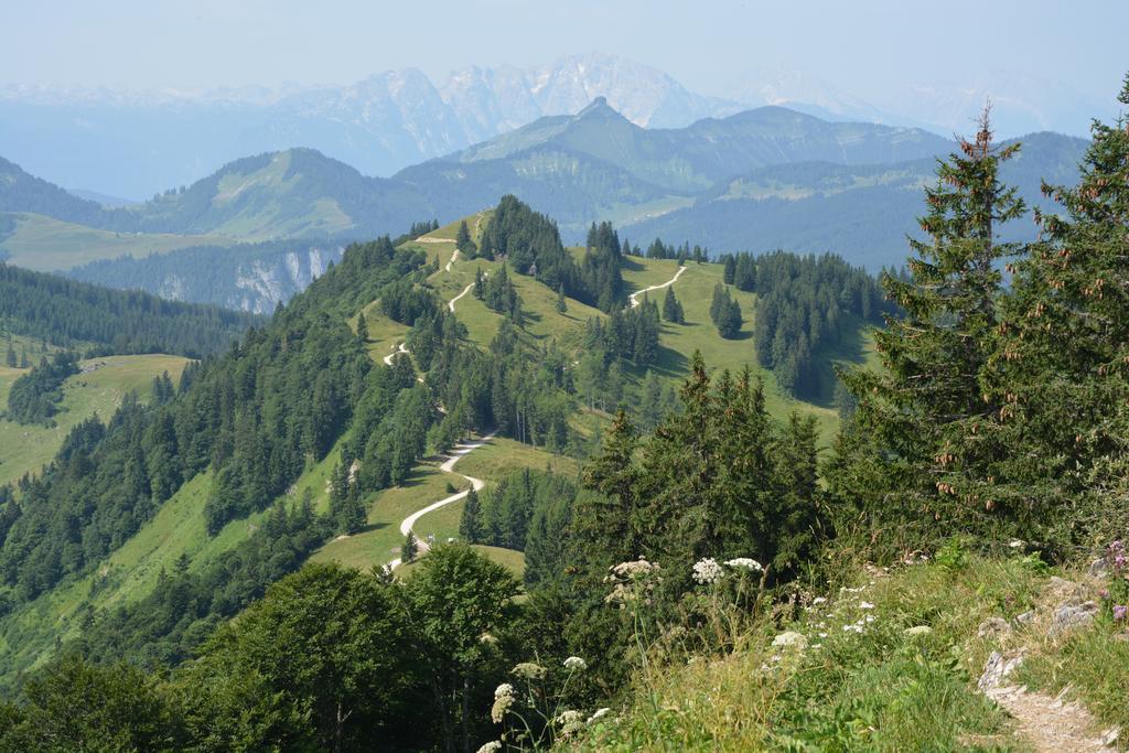 Appart Weisse Urlauben Am Wolfgangsee ซังคท์กิลเกอ ภายนอก รูปภาพ